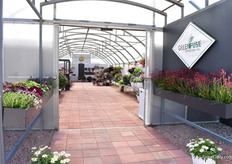 Entrance to Greenfuse Botanicals. 